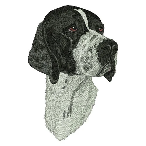 Photo Digitizing Service